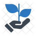 پیش‌نمایش فایل growing-plant-2441667 از پک کرکره و گیاهان