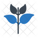 پیش‌نمایش فایل plant-2441662 از پک کرکره و گیاهان