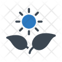 پیش‌نمایش فایل sun-growth-plant-2441688 از پک کرکره و گیاهان