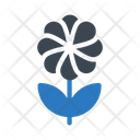 پیش‌نمایش فایل growth-plant-2441641 از پک کرکره و گیاهان