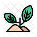 پیش‌نمایش فایل growth-plant-2441520 از پک کرکره و گیاهان