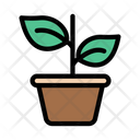 پیش‌نمایش فایل growth-plant-2441524 از پک کرکره و گیاهان