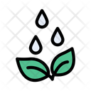 پیش‌نمایش فایل plant-2441530 از پک کرکره و گیاهان