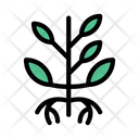پیش‌نمایش فایل plantation-2441550 از پک کرکره و گیاهان