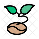 پیش‌نمایش فایل seed-plant-2441525 از پک کرکره و گیاهان