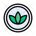 پیش‌نمایش فایل flower-2441508 از پک کرکره و گیاهان