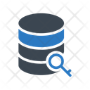 پیش‌نمایش فایل database-key-2464400 از پک میزبانی وب