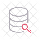 پیش‌نمایش فایل database-key-2464181 از پک میزبانی وب