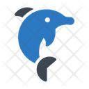 پیش‌نمایش فایل dolphin-2462453 از پک پارک آبی
