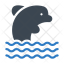 پیش‌نمایش فایل dolphin-2462454 از پک پارک آبی