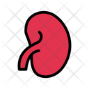 پیش‌نمایش فایل kidney-2460461 از پک اورولوژی و بیماری‌های کلیوی