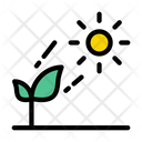 پیش‌نمایش فایل growth-plant-2458451 از پک خورشید و نور