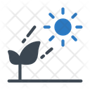 پیش‌نمایش فایل growth-plant-2458542 از پک خورشید و نور
