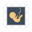 پیش‌نمایش فایل pregnancy-2569002 از پک پزشکی