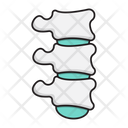 پیش‌نمایش فایل backbone-2568927 از پک متخصص پزشکی
