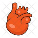 پیش‌نمایش فایل heart-2568961 از پک متخصص پزشکی