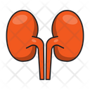 پیش‌نمایش فایل kidney-2568959 از پک متخصص پزشکی