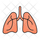 پیش‌نمایش فایل lungs-2568955 از پک متخصص پزشکی