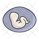 پیش‌نمایش فایل pregnant-2568945 از پک متخصص پزشکی