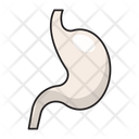 پیش‌نمایش فایل stomach-2568938 از پک متخصص پزشکی