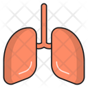 پیش‌نمایش فایل liver-2568901 از پک پزشکی و سلامت