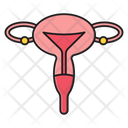 پیش‌نمایش فایل uterus-2568882 از پک پزشکی و سلامت