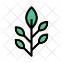 پیش‌نمایش فایل plant-2601810 از پک طبیعت و محیط زیست