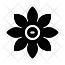 پیش‌نمایش فایل flower-2601863 از پک طبیعت و محیط زیست