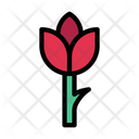 پیش‌نمایش فایل flower-2601275 از پک عشق و رمانس