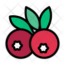 پیش‌نمایش فایل berry-2599610 از پک میوه و سبزیجات