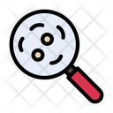 پیش‌نمایش فایل search-germs-2599474 از پک آنفولانزا و سرماخوردگی