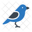 پیش‌نمایش فایل sparrow-2457943 از پک بهار