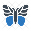 پیش‌نمایش فایل butterfly-2457897 از پک بهار