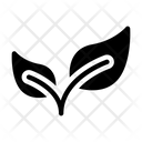 پیش‌نمایش فایل leaf-2457850 از پک بهار