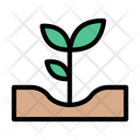 پیش‌نمایش فایل growth-plant-2457820 از پک بهار
