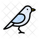 پیش‌نمایش فایل sparrow-2457833 از پک بهار