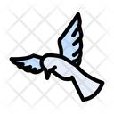 پیش‌نمایش فایل bird-2457802 از پک بهار