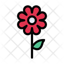 پیش‌نمایش فایل flower-2457790 از پک بهار