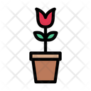 پیش‌نمایش فایل flower-pot-2457807 از پک بهار