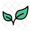 پیش‌نمایش فایل leaf-2457809 از پک بهار