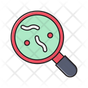 پیش‌نمایش فایل magnifier-germs-2572843 از پک علم و فناوری
