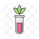 پیش‌نمایش فایل botany-experiment-2572574 از پک علم و فناوری