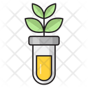 پیش‌نمایش فایل botany-experiment-2763947 از پک آموزش و پرورش