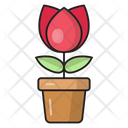 پیش‌نمایش فایل flower-pot-2763957 از پک آموزش و پرورش