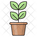 پیش‌نمایش فایل plant-pot-2763996 از پک آموزش و پرورش