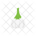 پیش‌نمایش فایل allium-2565988 از پک غذا