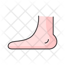 پیش‌نمایش فایل foot-2566613 از پک سلامت و پزشکی