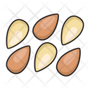 پیش‌نمایش فایل almond-2563681 از پک میوه و مغزها