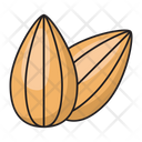 پیش‌نمایش فایل almond-2563682 از پک میوه و مغزها