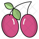 پیش‌نمایش فایل chari-fruit-2764531 از پک غذا